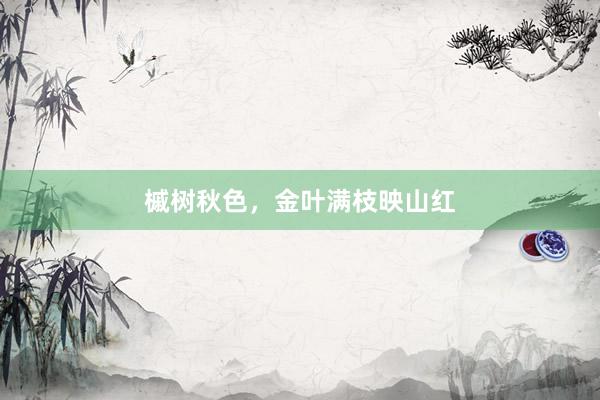 槭树秋色，金叶满枝映山红