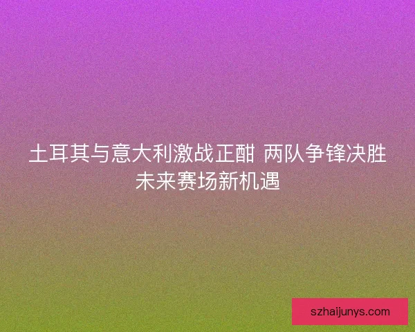 土耳其与意大利激战正酣 两队争锋决胜未来赛场新机遇