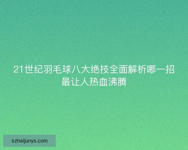 21世纪羽毛球八大绝技全面解析哪一招最让人热血沸腾
